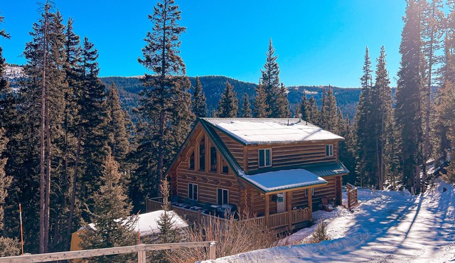 July Special! Cabin with hot tub! Near FairPlay & Breck!