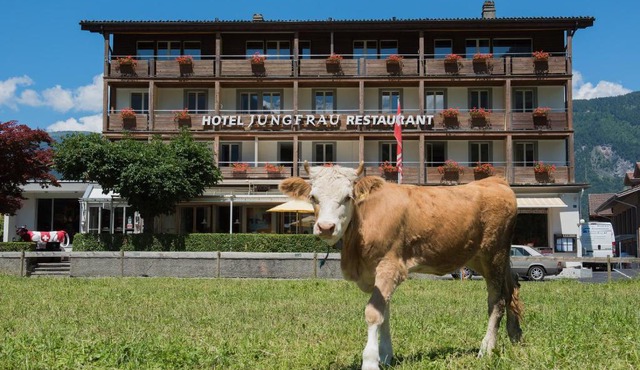 Jungfrau Hotel