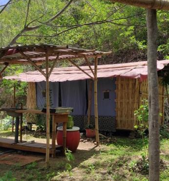 Jungle Glamping Tent Two