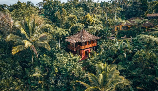 Jungle House with Stunning views and a Natural pool!
