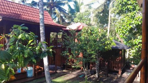 Jungle Lodge Medewi Bali