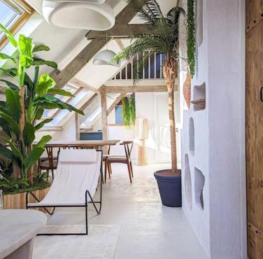 Jungle's Tours Une Oasis en Plein Cœur de la Ville