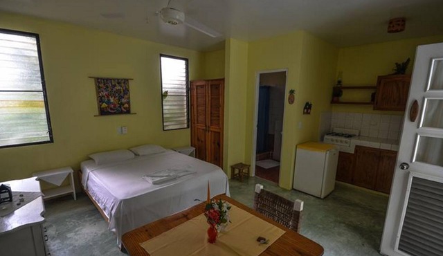 Jungle studio with kitchenette