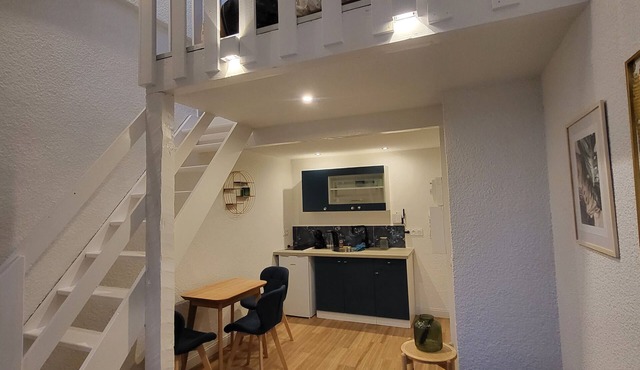 Jungle T2 Neuf Clim Netflix Cosy Centre Ville Gare