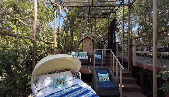 Jungle Vibe Estate:Outdoor Theatre, 4500' of decks, Aviary, Waterfalls, Koi Fish