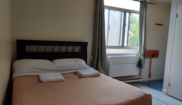 Junior Studio Apartment Near Dundas Station and Eaton Centre