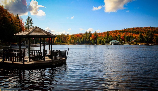 Juniper - Big Moose Lakeside