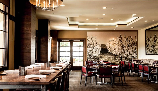 Juniper Hotel Cupertino, Curio Collection by Hilton