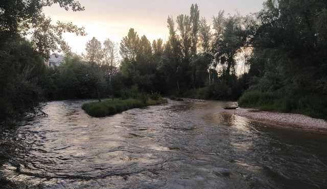 Junto al Guadalquivir B