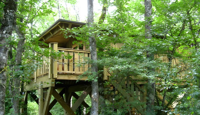 Jurassic Treehouse Lodge: A Unique Adventure in Nature, One-of-a-Kind in France