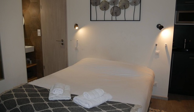Just 10 minutes from the town center, this cocooning studio is sure to make your stay a pleasant one!