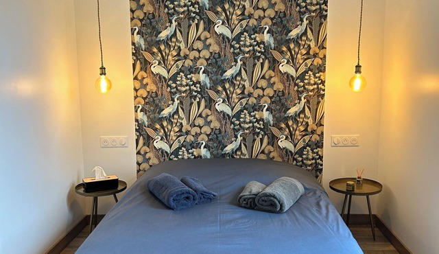 Just a stone's throw from Ay town center, peace and quiet in the city!