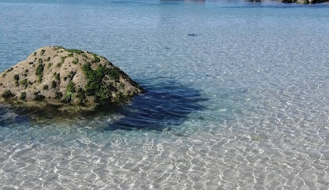 Just a stone's throw from the beach. House completely renovated in 2020, sleeps 6-8.