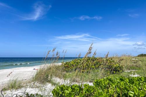 Just Beachy!