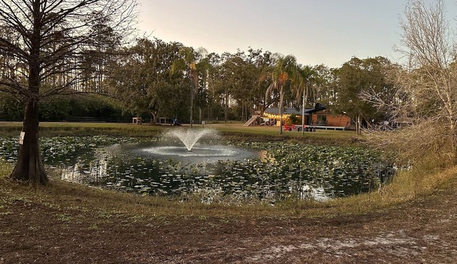 Just Because Ranch - Charming 3-bedroom house in peaceful Lake Wales