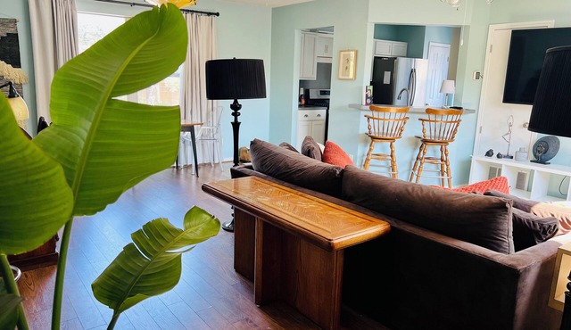 Just INN TIME! 2br/2ba Central ATX, Free parking