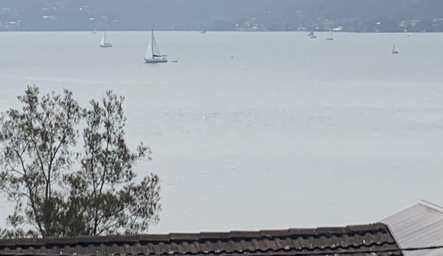 JUST LISTED Small dogs welcome