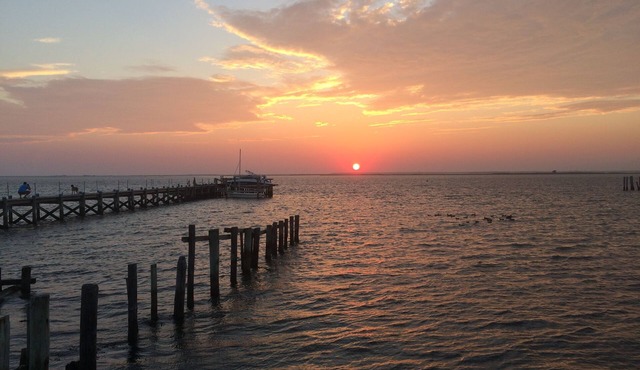 JUST REDUCED FOR THE MONTH OF JUNE! HOLGATE Beach House - 5 BR's -sleeps 12