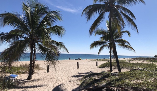 Just Steps to the Beach! Relax Across from the Ocean at Saltyside Bungalow