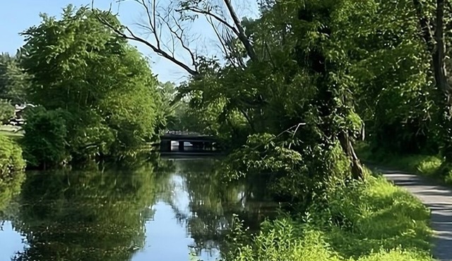 Just What You Were Looking For! Accessible unit w/Kitchen. Near Revere Park