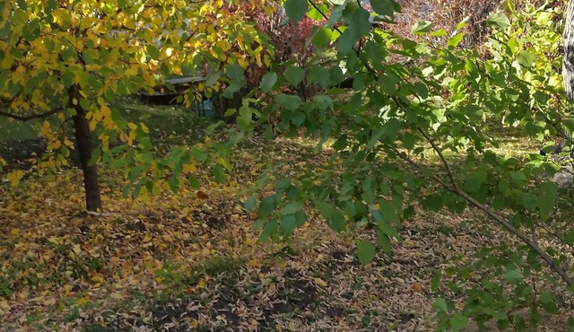 Just You in Neepawa Vacation Home