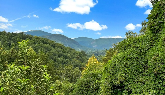 Juve' Cabin by Carolina Properties - Mother's Day Getaway
