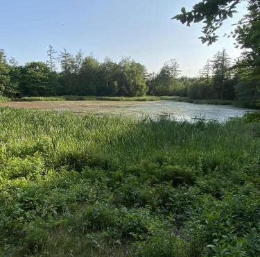 Købmandsgården i Blære