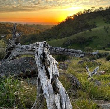 Kaiser Ridge - eco stay