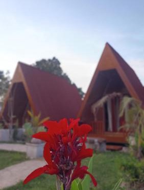 Kamar nomr03