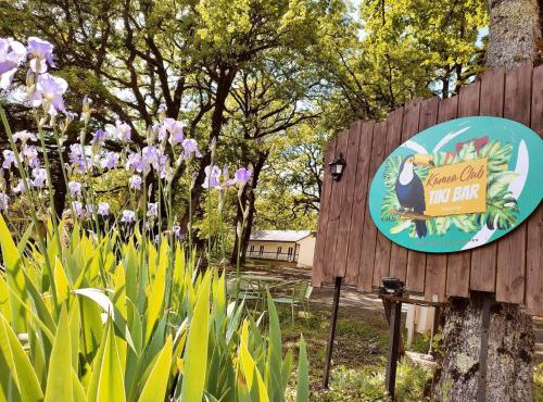 Kamea Club La Gironie