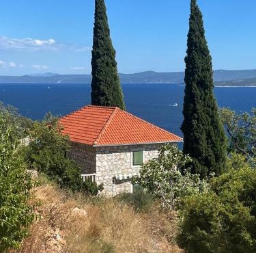 Kameni cvijet
