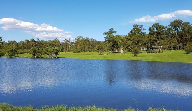 Kangaroo Cottage - cute Accom in bushland setting