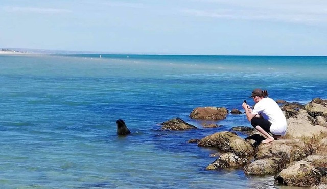 Kangaroo Island in Style: Free WiFi, Beach Access, Wildlife, and Fishing!