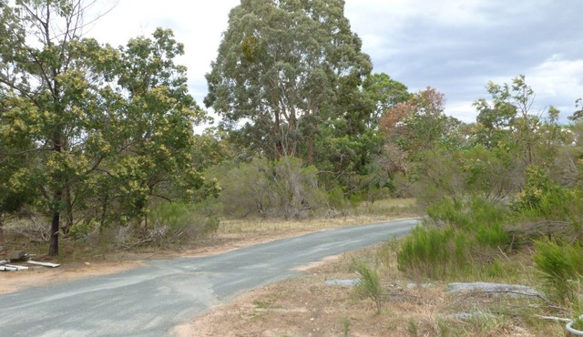 kangaroo valley - wildlife