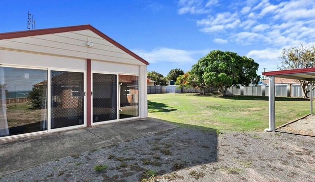 Kangaroos at the point