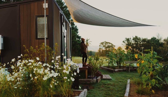 Kanimbla Sunsets by Tiny Away