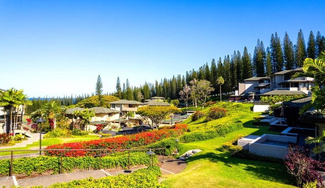 Kapalua Golf Villas Collection by KBM - 2 Units in same building (21p2/21p3)