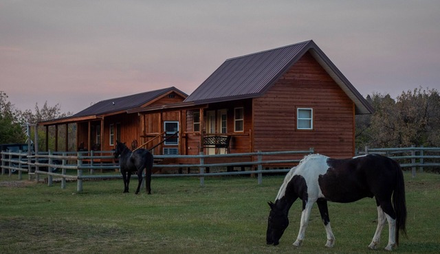 Kara Creek Ranch - King Bed Cabin with Kitchen #6