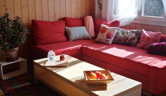 Karotte by Interhome