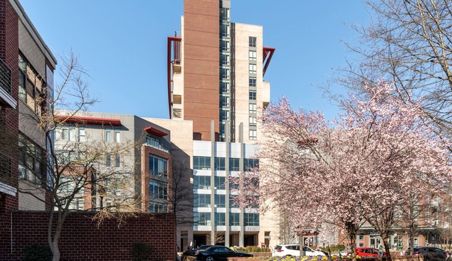 Kasa Alexandria Washington