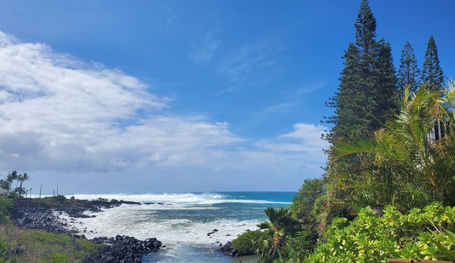 Kauai Honeymoon: View Sea Turtles From Your Oceanfront Deck-AC-No Cleaning Fee
