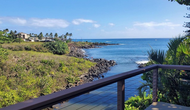Kauai Honeymoon : View Sea Turtles from Your Oceanfront Deck-AC-No Cleaning Fee