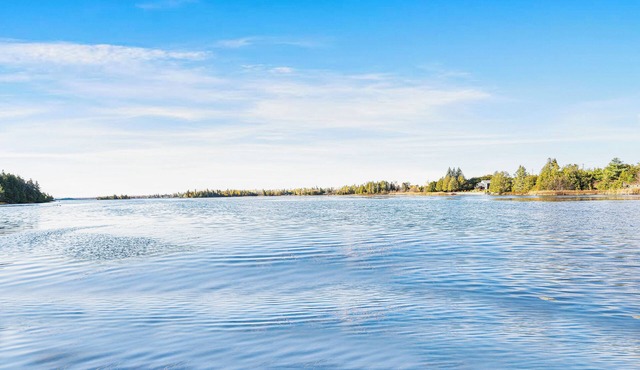 Kawartha Lakefront Cottage | Fire Pit, Scenic Views & Nature