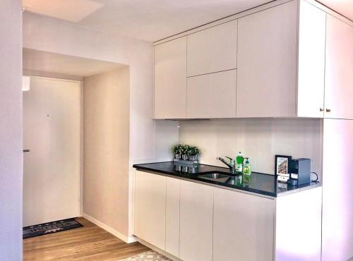 KAYA Apartments M07 - Deluxe Studio Apt in Old Town Zurich