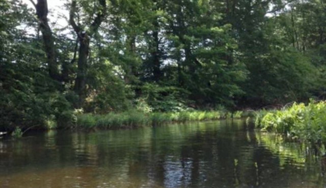 Kayak and Campers Paradise