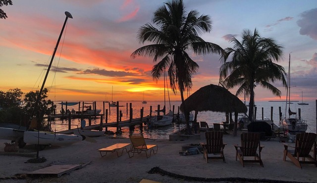 Kayaking, sailing, snorkeling Free w/Cottage