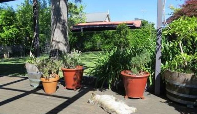 Kays Studio Fully Self Contained Accommodation in the heart of Berry