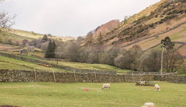 KEARTONS - BUTTERTUBS, pet friendly in Muker