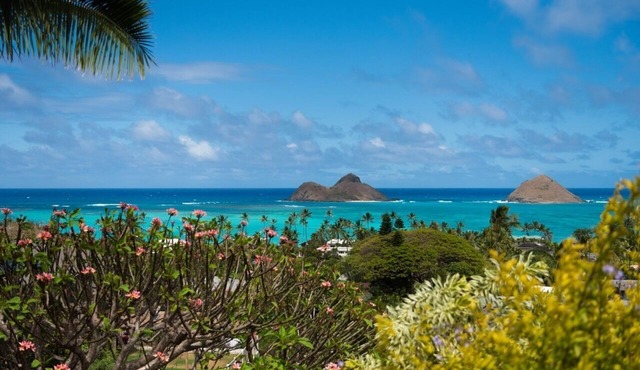 Kehaulani Ridge~Lanikai~Spectacular Views of "The Mokes"! Renovated~Luxurious