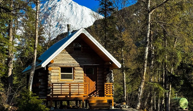 Kenai Peninsula Cabin centrally located between Seward & Cooper Landing.